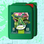 Dutch Pro - Original Bloom - Soil A + B - Green Bottle - 5L