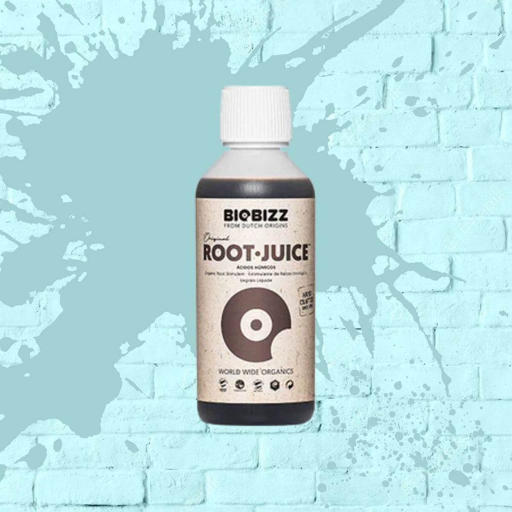 BioBizz Root Juice 250 millilitre bottle 250ML RootJuice 250 milliliter Root-Juice